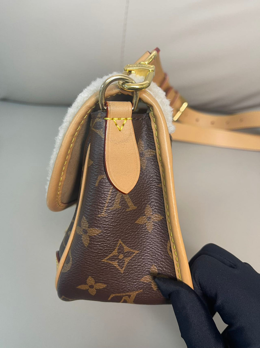 Louis Vuitton Diane Canvas M46317
