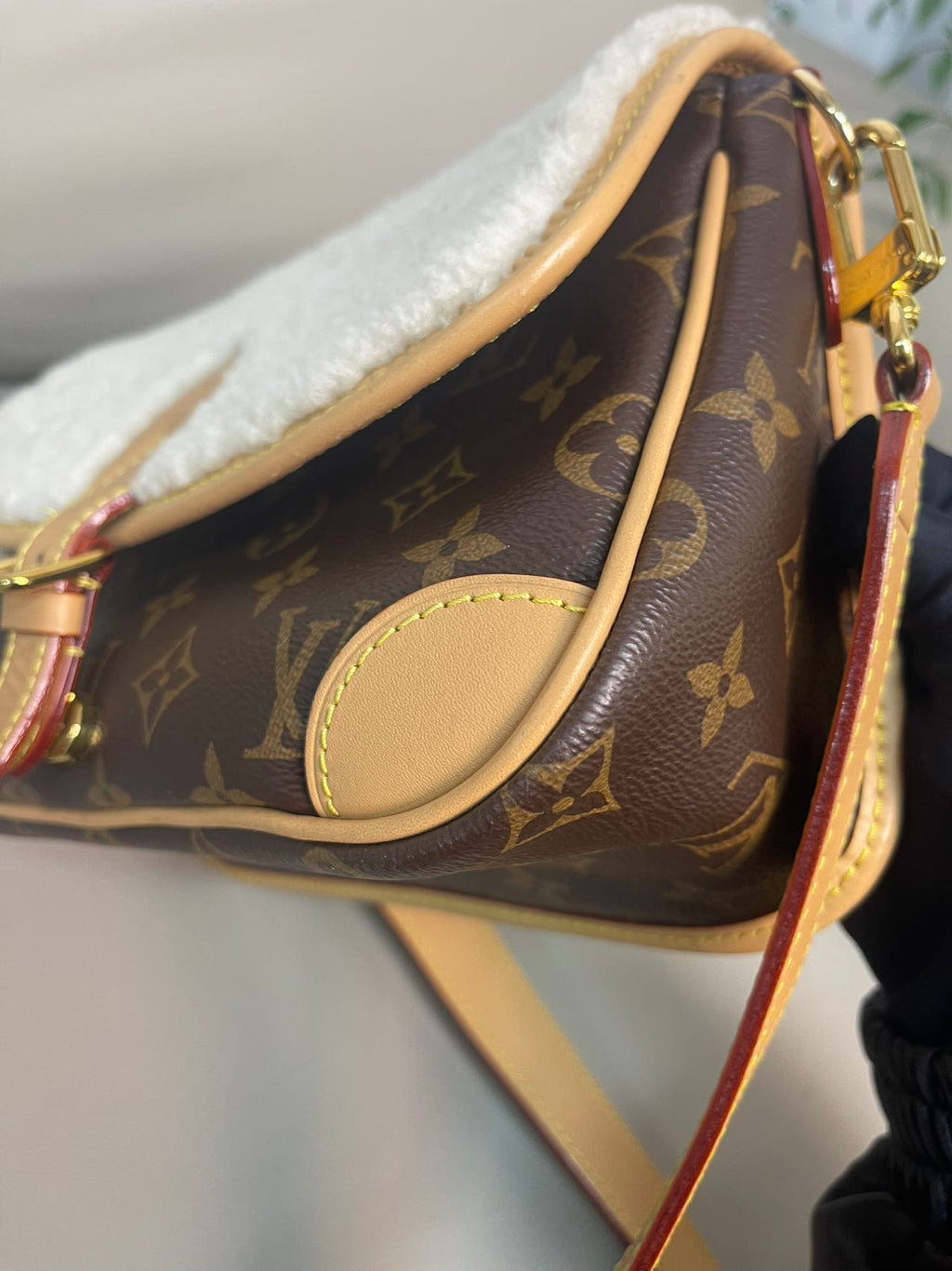 Louis Vuitton Diane Canvas M46317
