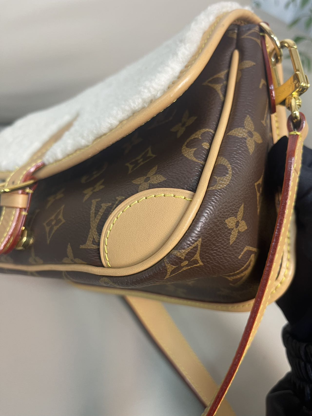 Louis Vuitton Diane Canvas M46317