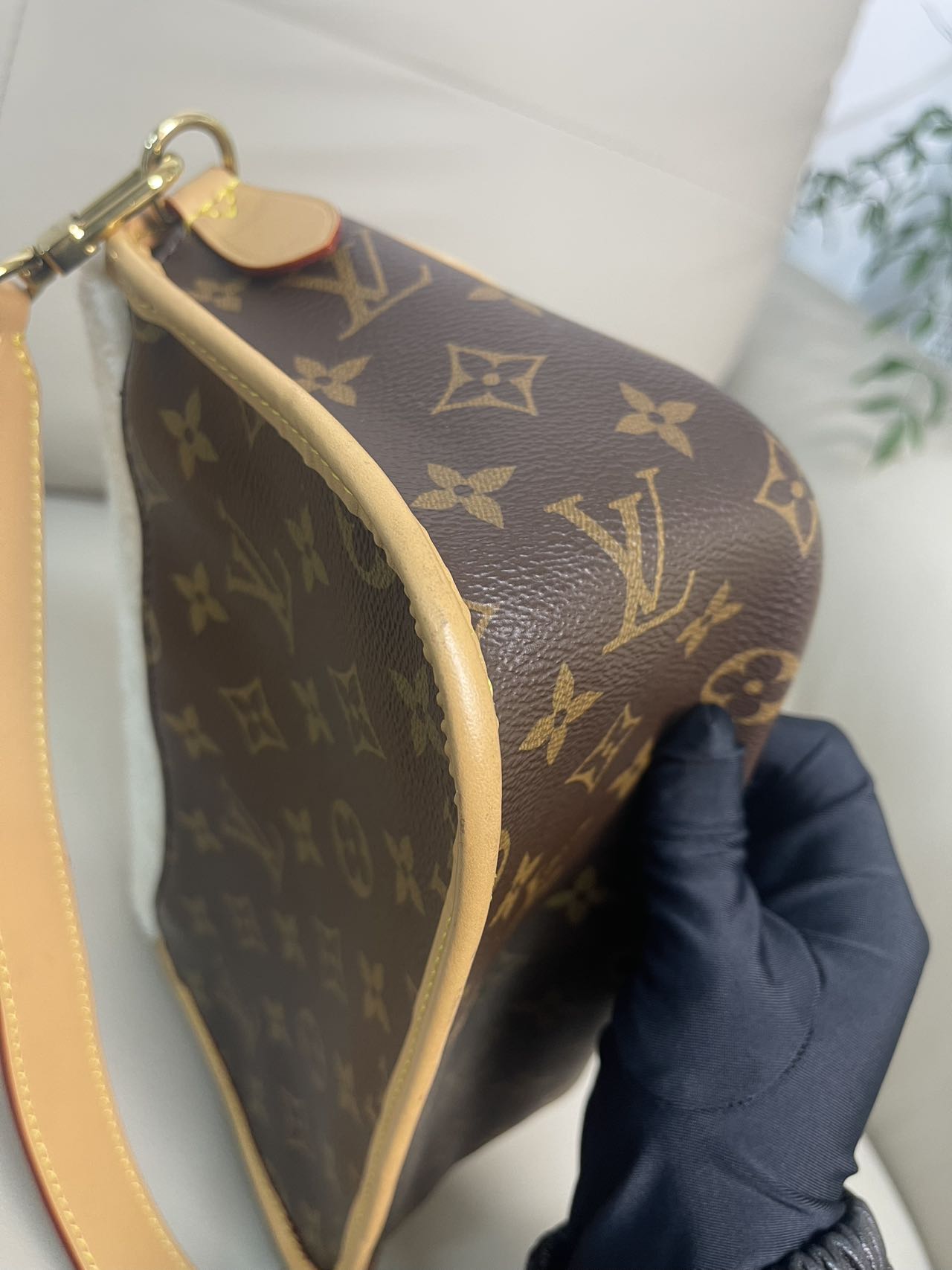 Louis Vuitton Diane Canvas M46317