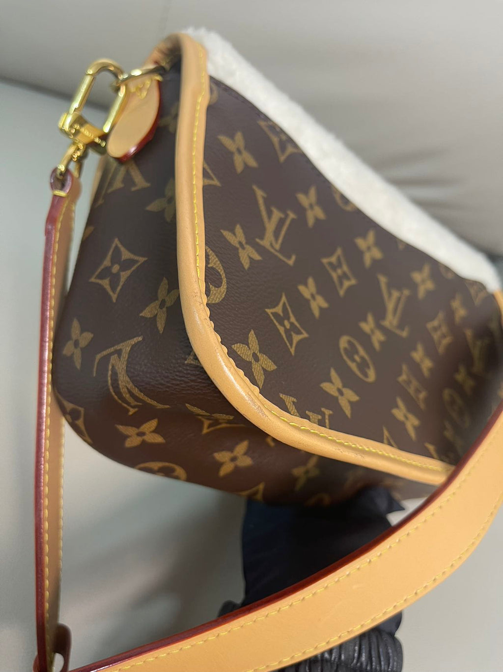 Louis Vuitton Diane Canvas M46317