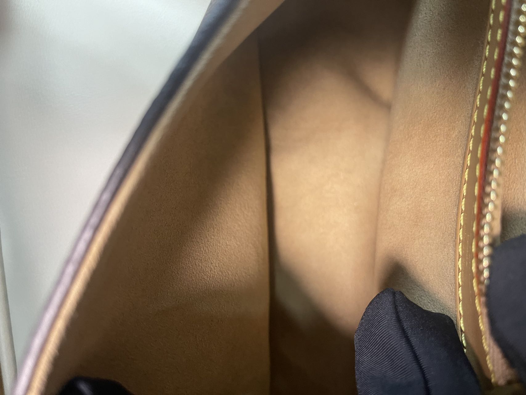 Louis Vuitton Diane Canvas M46317