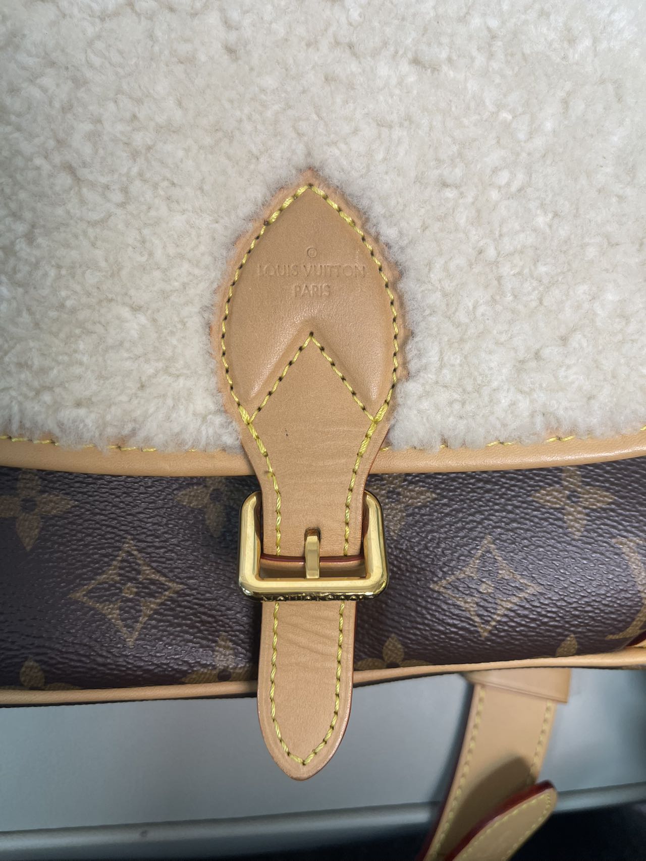 Louis Vuitton Diane Canvas M46317