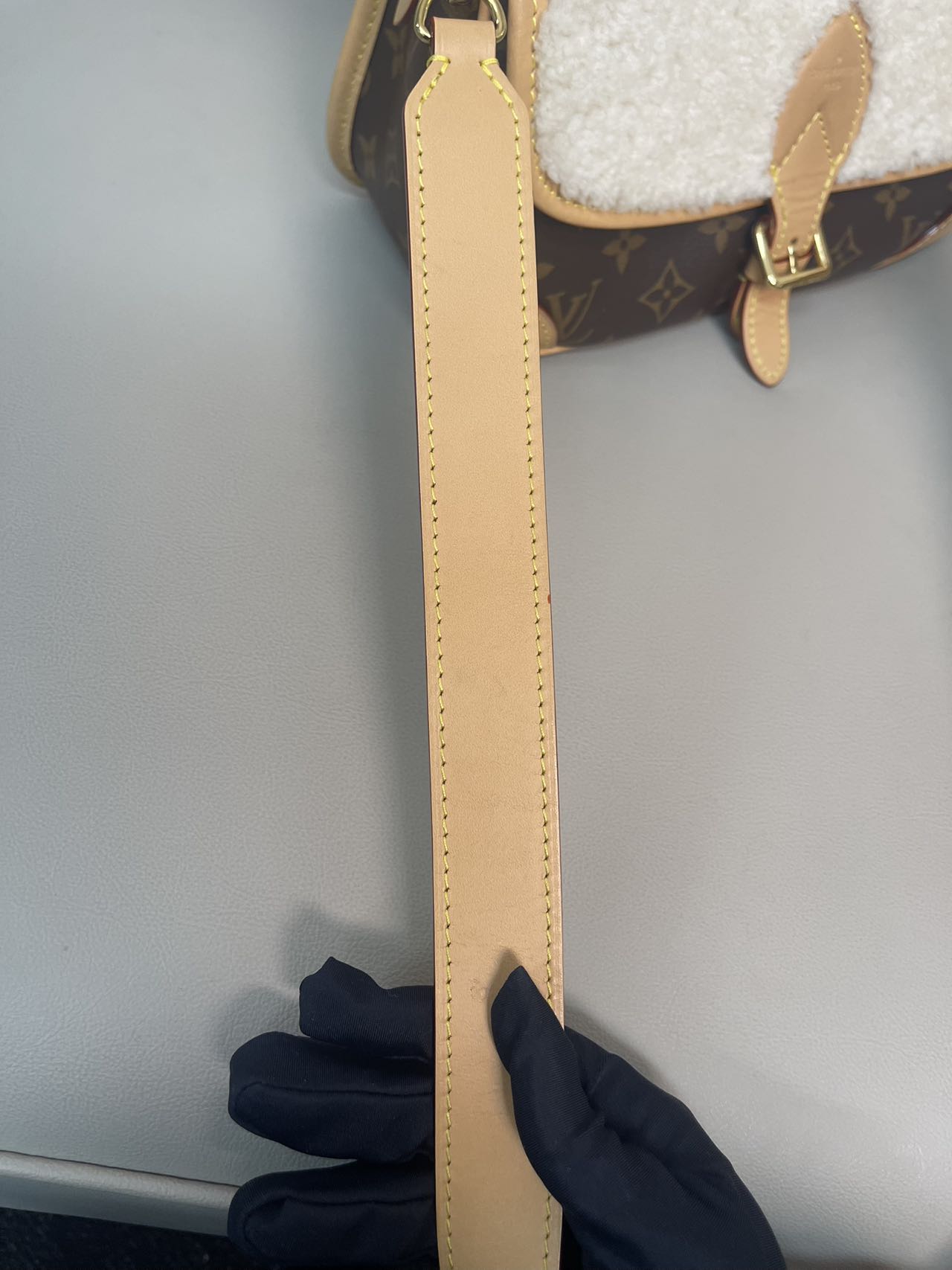Louis Vuitton Diane Canvas M46317