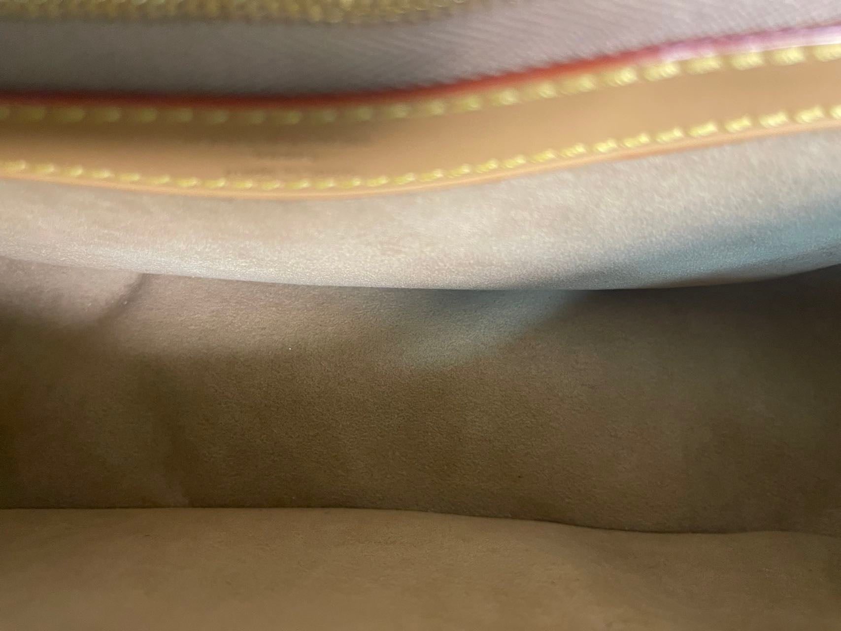 Louis Vuitton Diane Canvas M46317