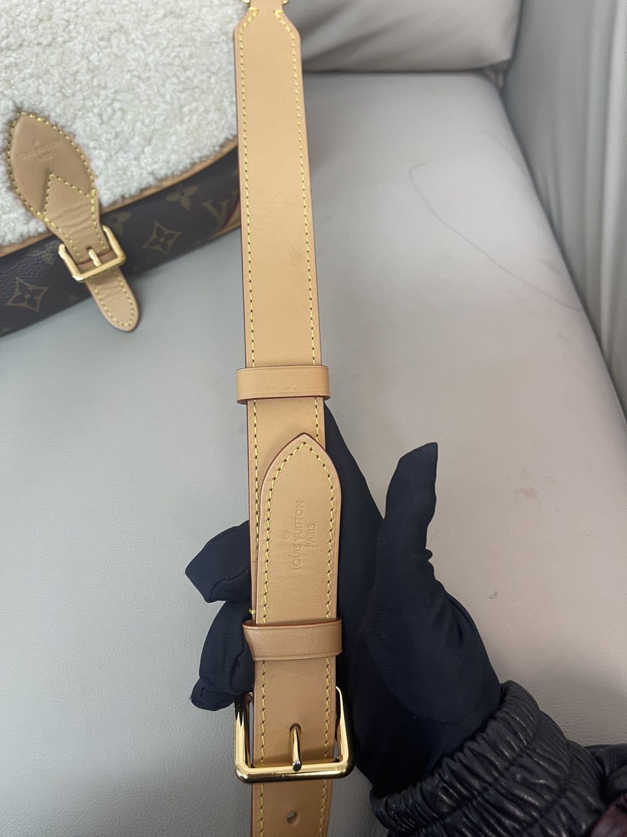 Louis Vuitton Diane Canvas M46317