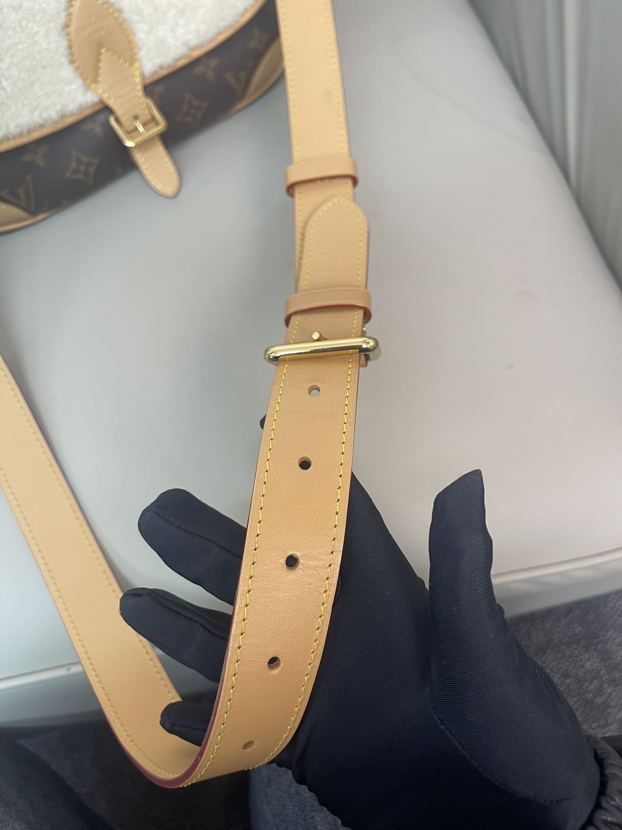 Louis Vuitton Diane Canvas M46317