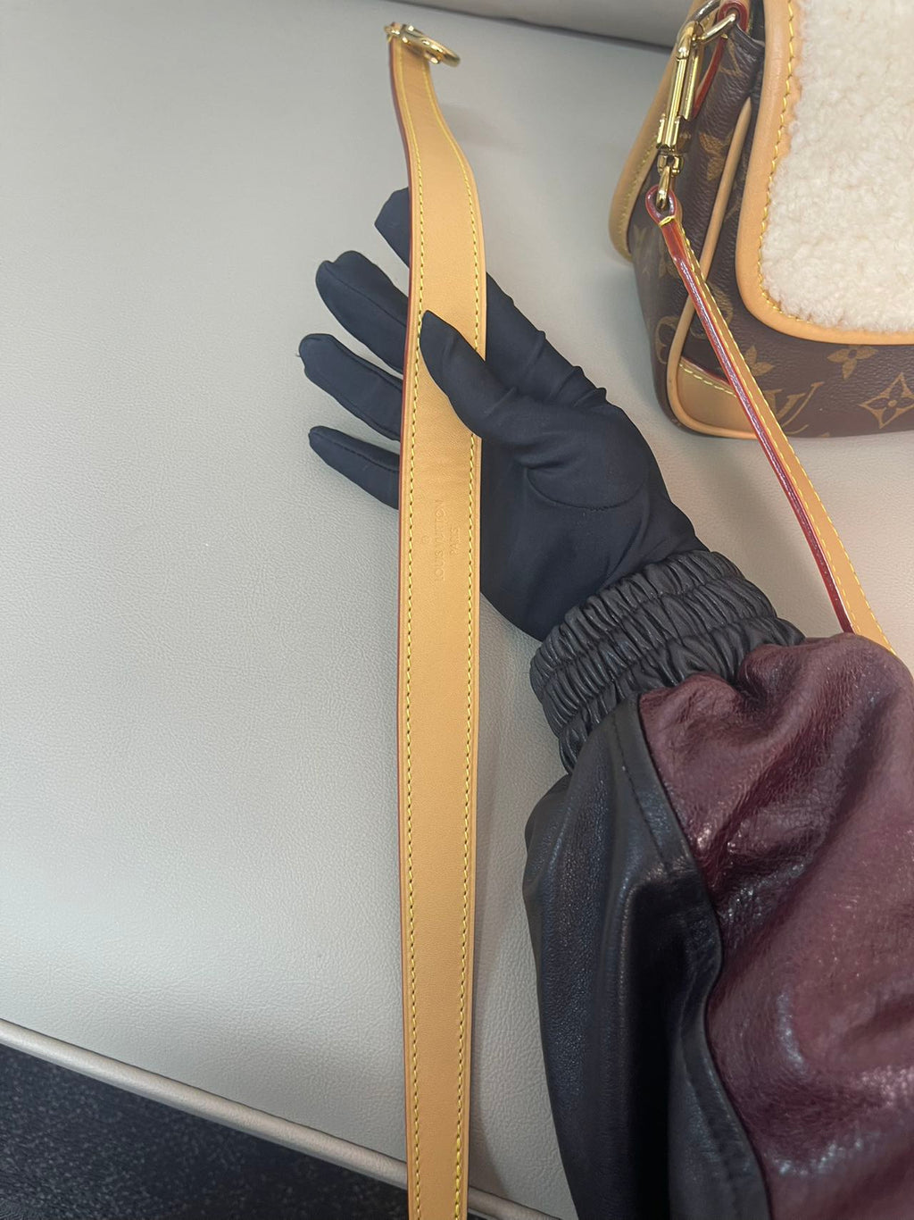 Louis Vuitton Diane Canvas M46317