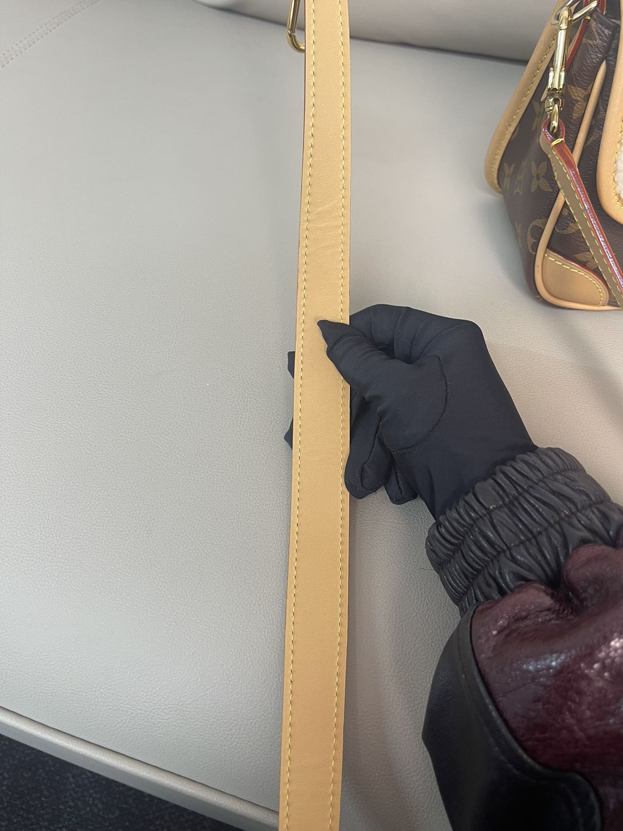 Louis Vuitton Diane Canvas M46317