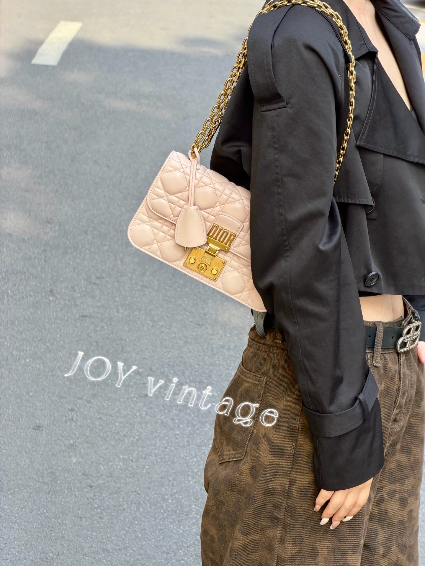 Dior Pink Crossbody 24 x 16 x 8 centimeters M5818CNMJM413
