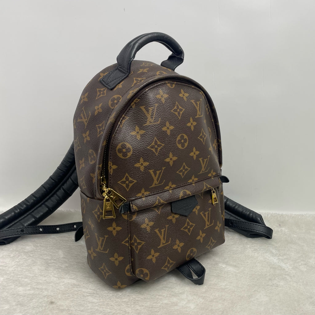 Louis Vuitton Backpack