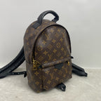 Louis Vuitton Backpack