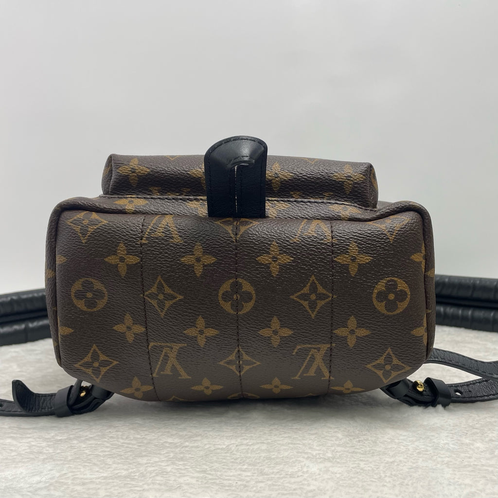 Louis Vuitton Backpack