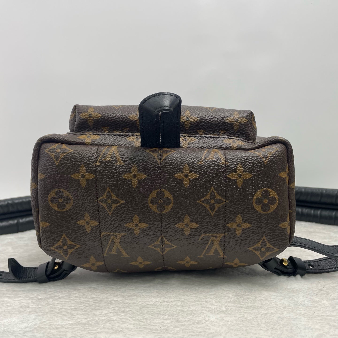 Louis Vuitton Backpack