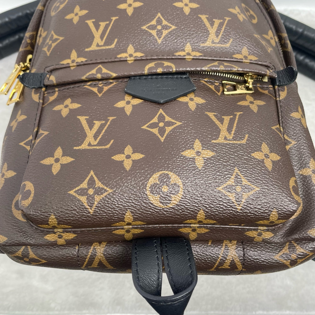Louis Vuitton Backpack