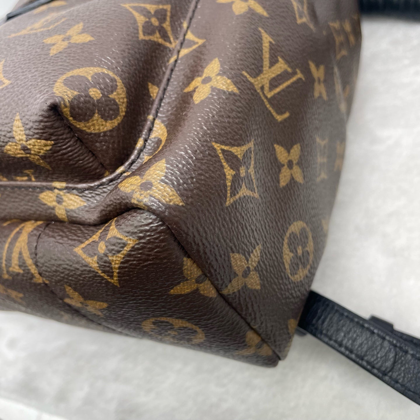 Louis Vuitton Backpack