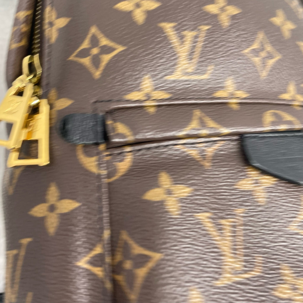 Louis Vuitton Backpack