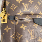 Louis Vuitton Backpack