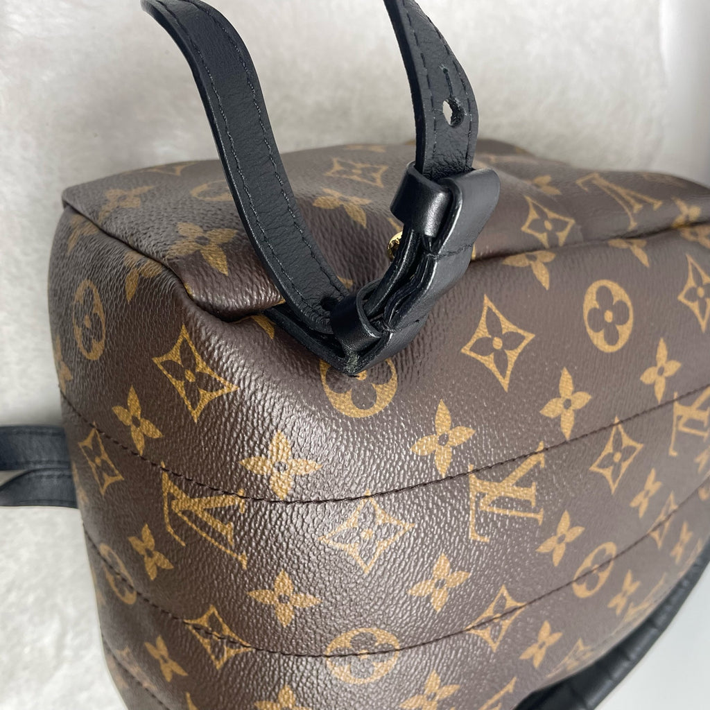 Louis Vuitton Backpack