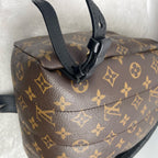Louis Vuitton Backpack