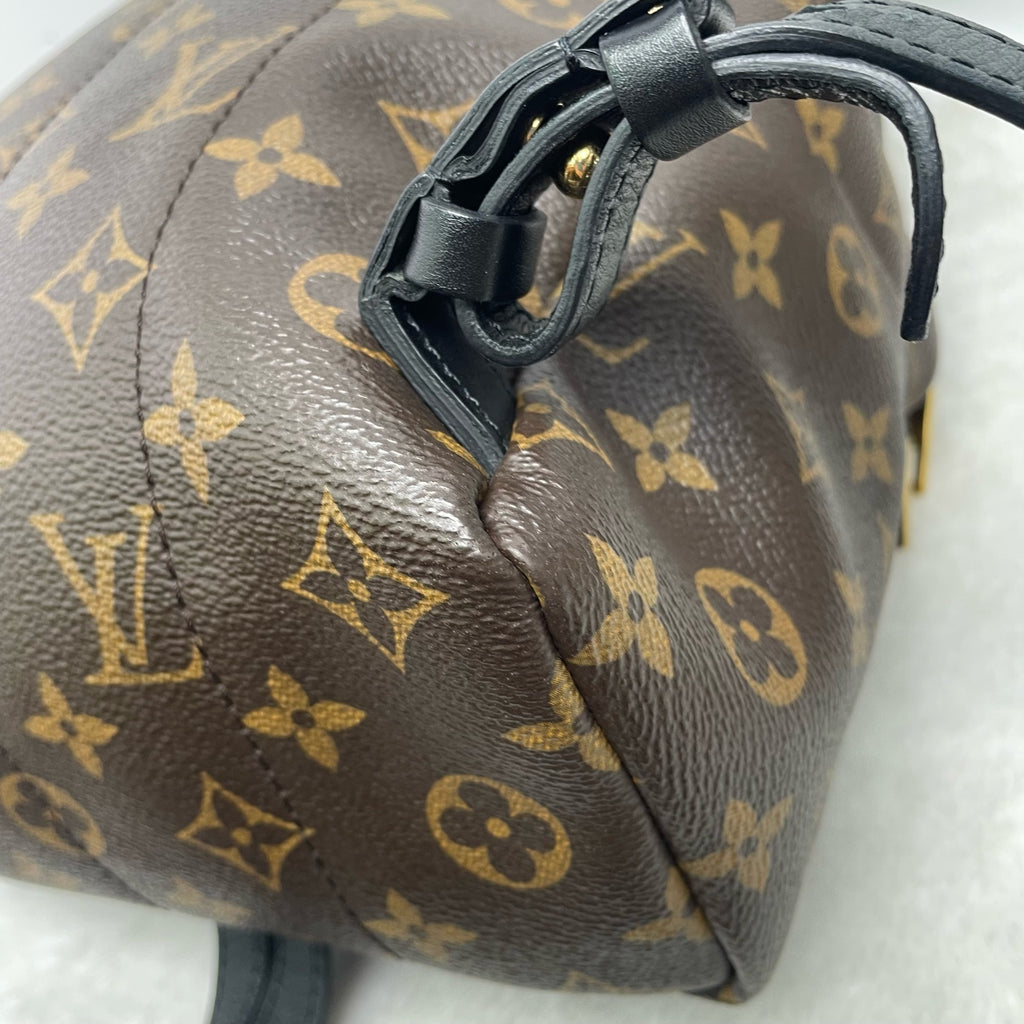 Louis Vuitton Backpack