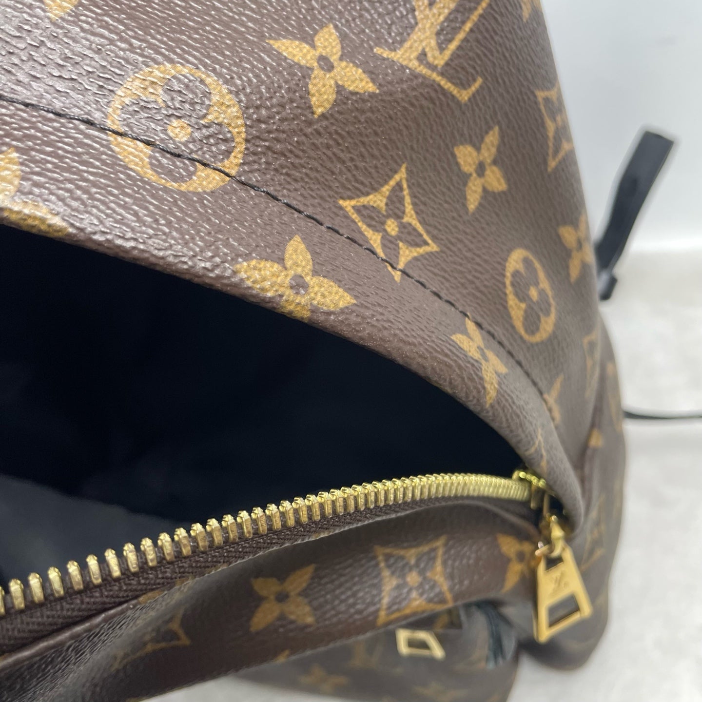 Louis Vuitton Backpack