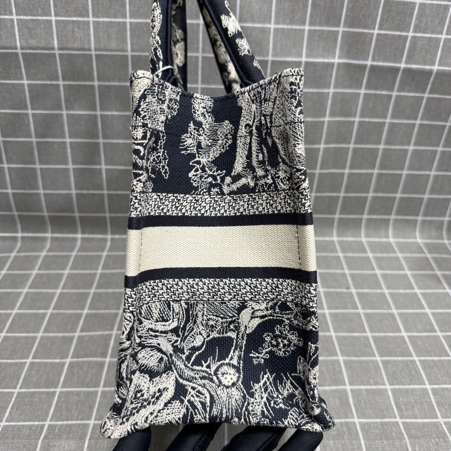 Dior Book Tote Blue M1265ZRGO_M35I
