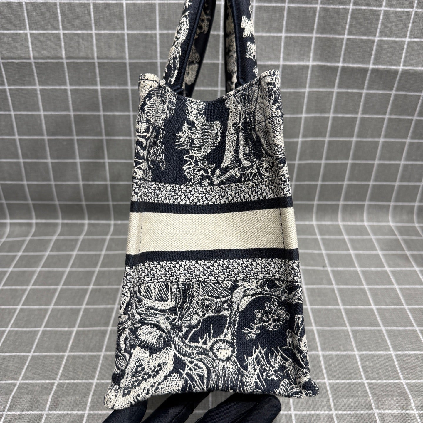 Dior Book Tote Blue M1265ZRGO_M35I