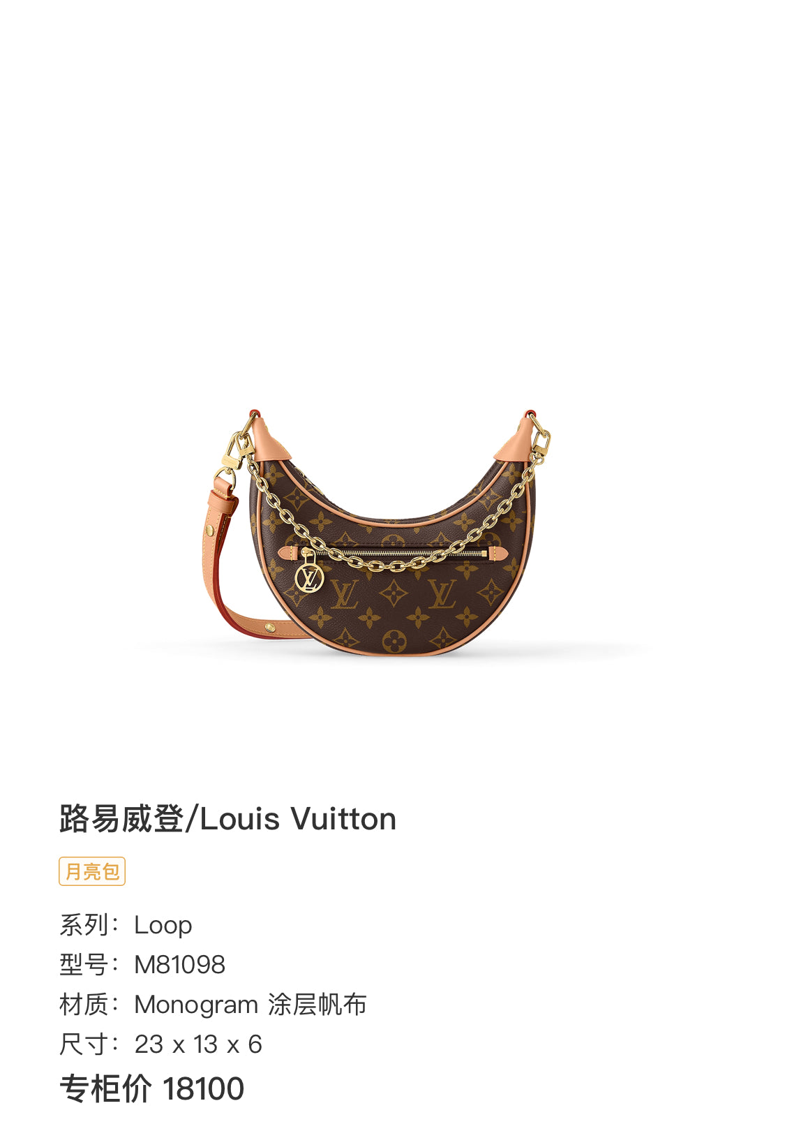 Louis Vuitton Shoulder Bag