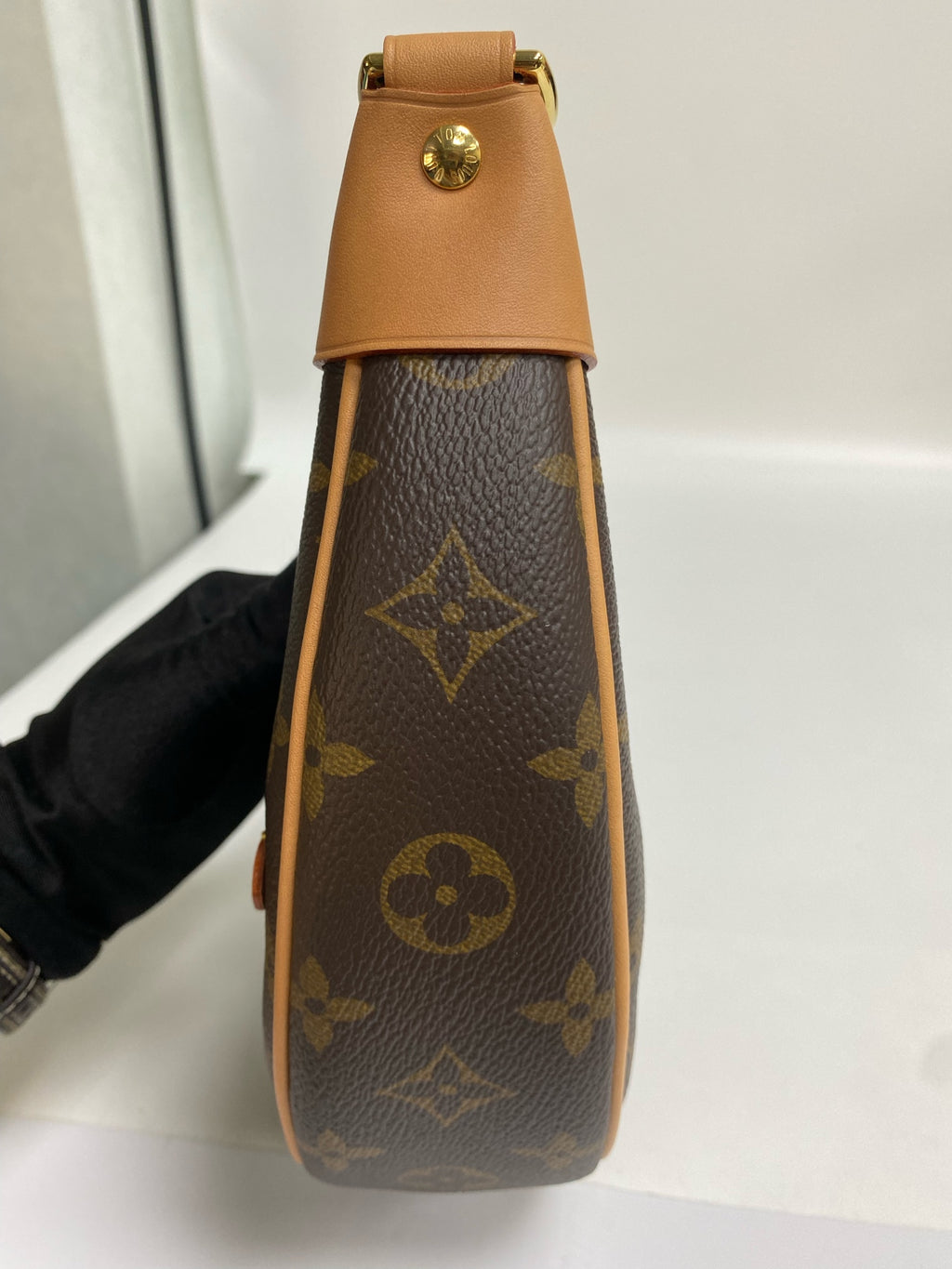 Louis Vuitton Shoulder Bag