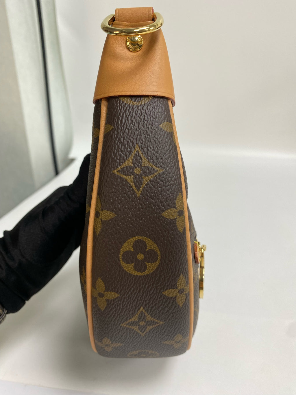 Louis Vuitton Shoulder Bag