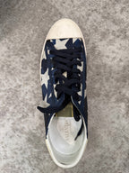 Valentino Canvas Skate shoes