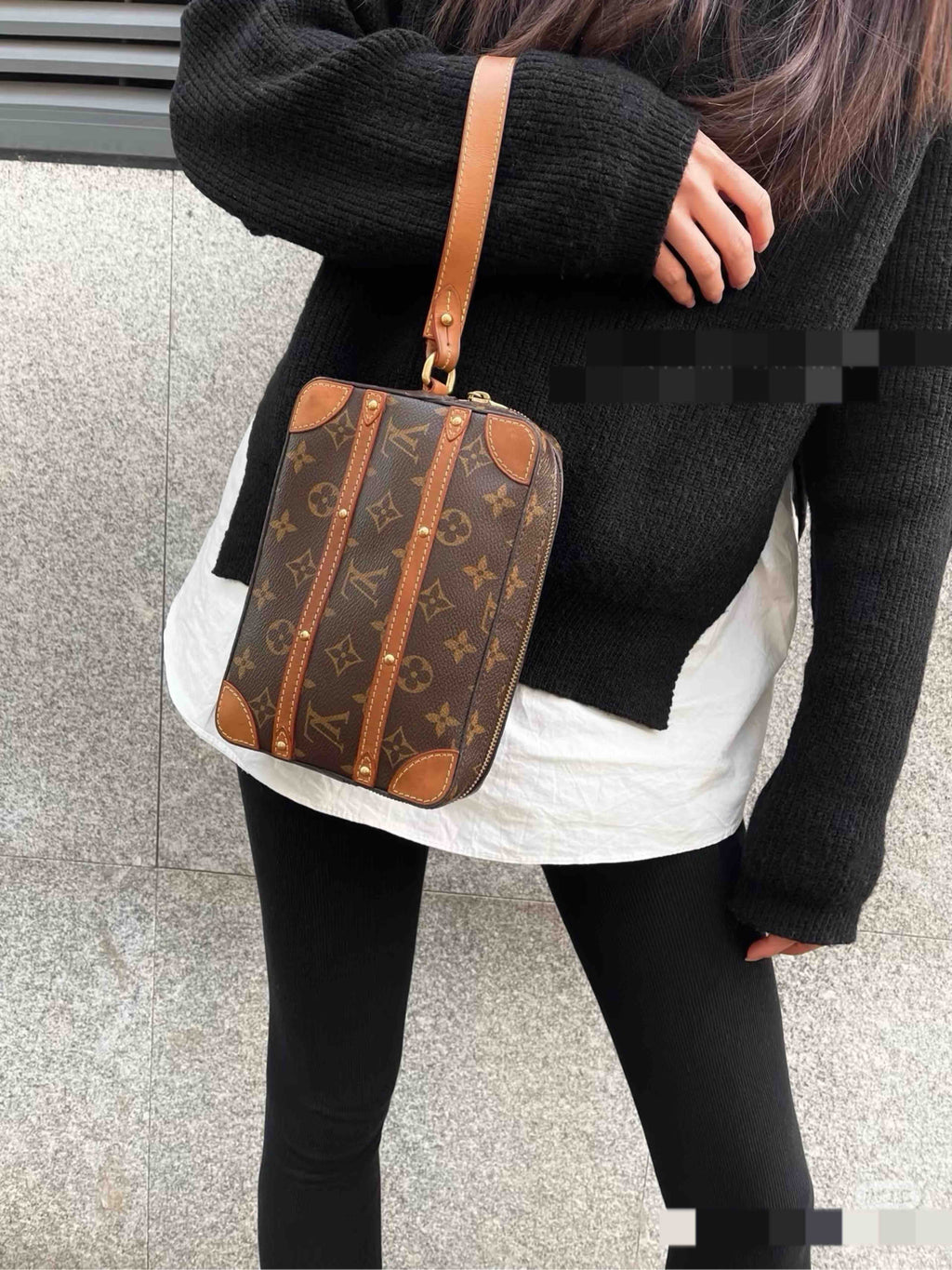 Louis Vuitton Canvas Beige