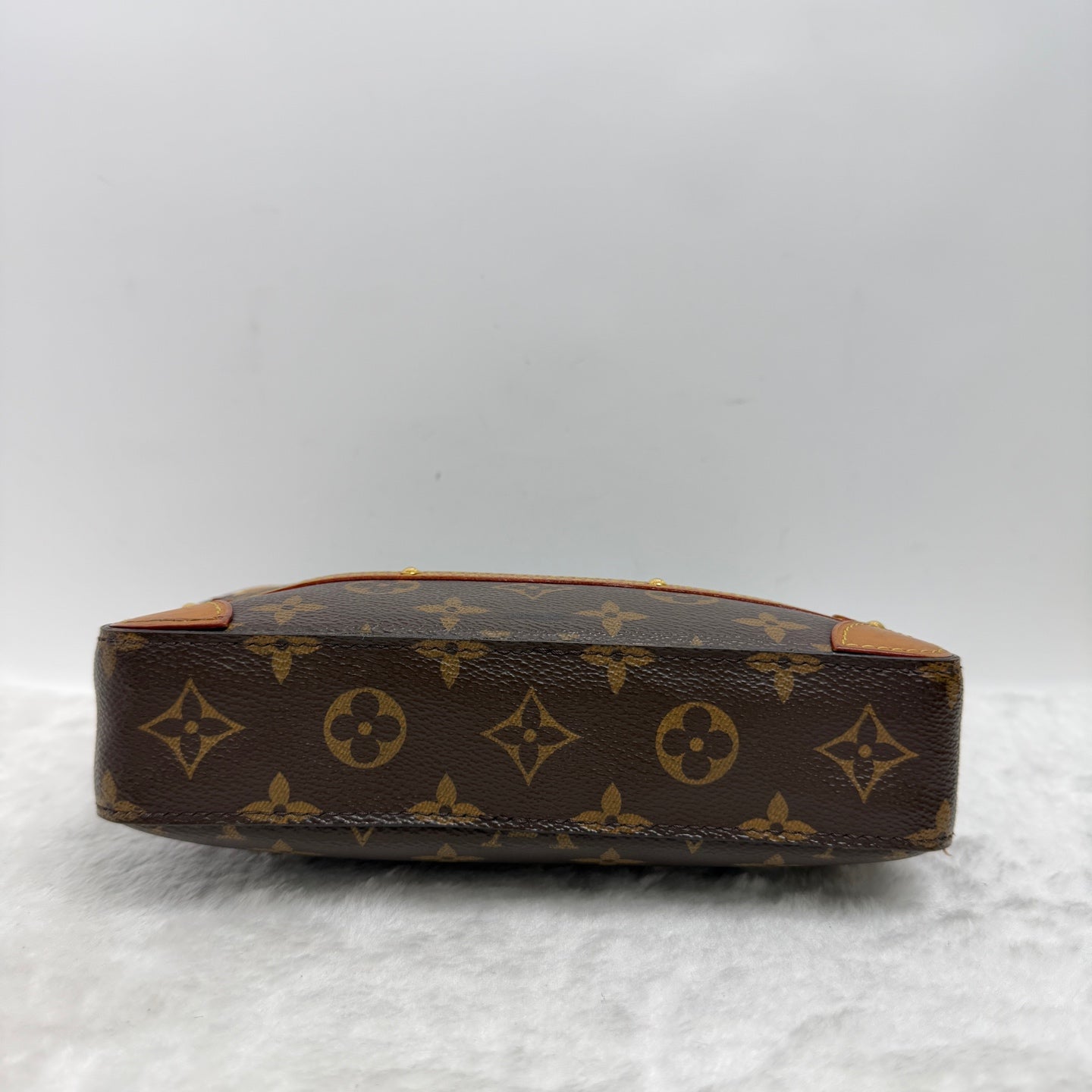 Louis Vuitton Canvas Beige