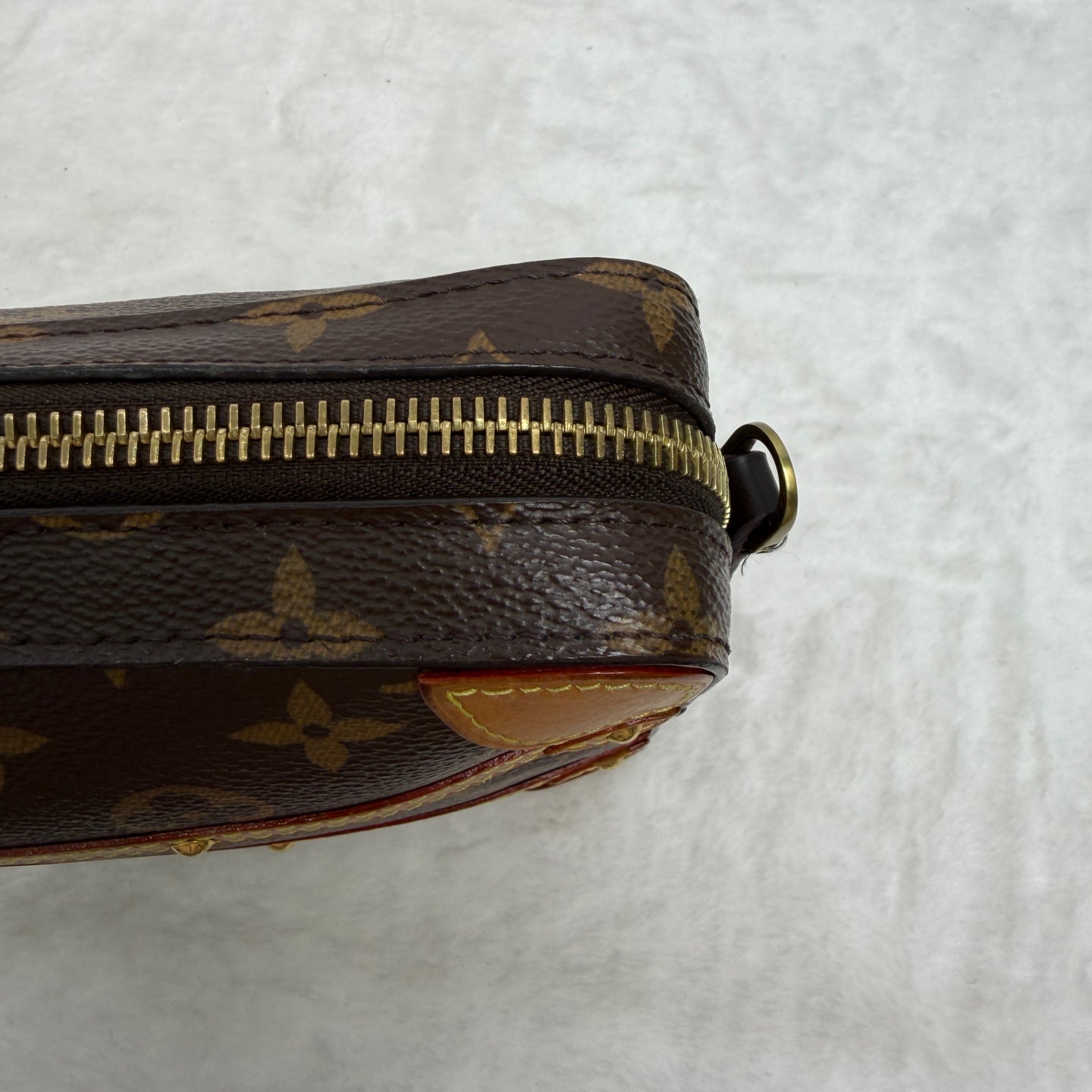 Louis Vuitton Canvas Beige