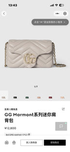 Gucci Gray
