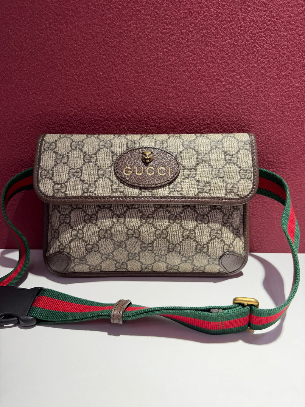 Gucci Canvas Beige Belt Bag & Fanny Pack 24*17*4 4939309C2VT8745