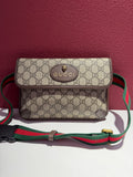 Gucci Canvas Beige Belt Bag & Fanny Pack 24*17*4 4939309C2VT8745