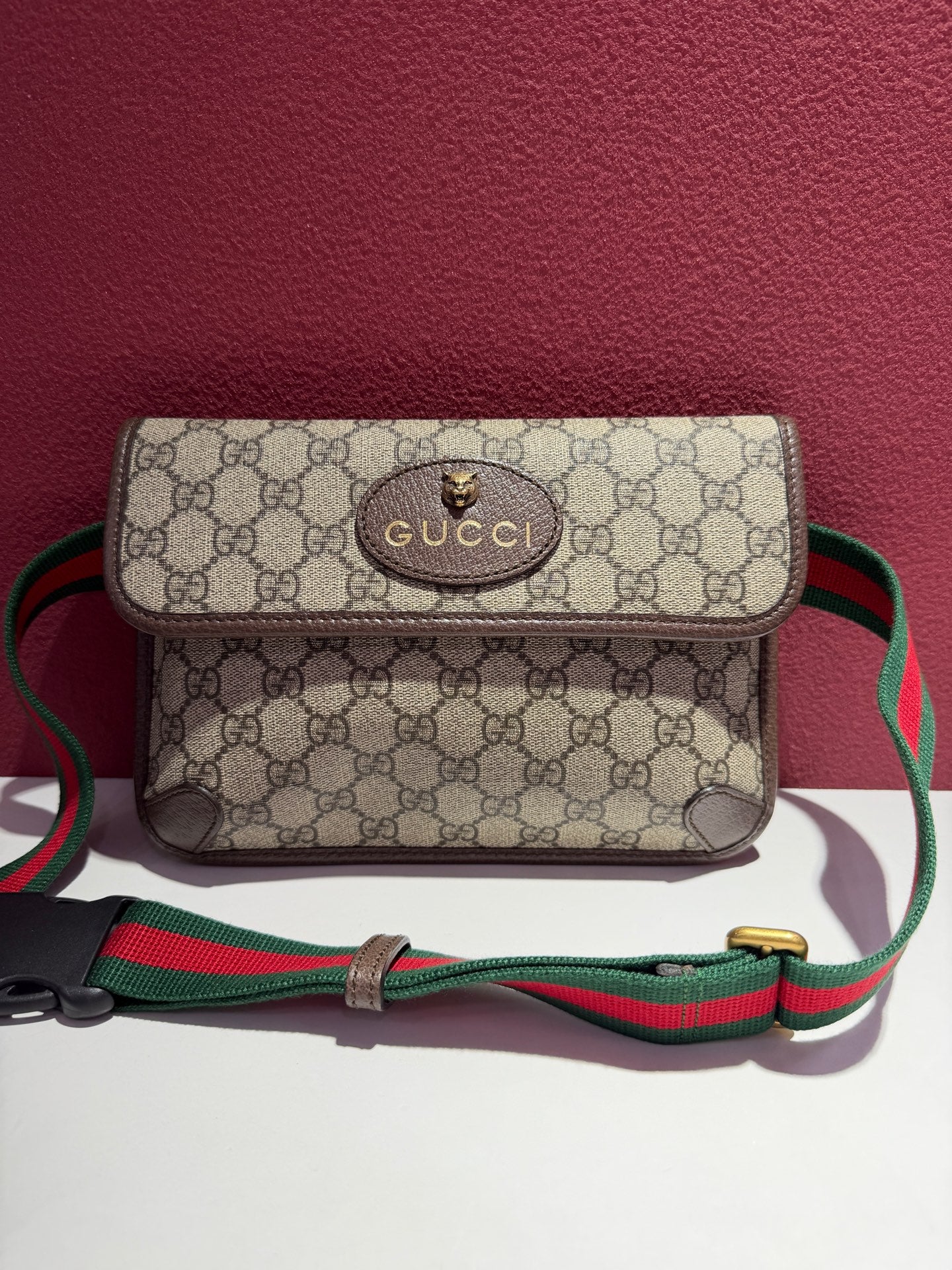 Gucci Canvas Beige Belt Bag & Fanny Pack 24*17*4 4939309C2VT8745