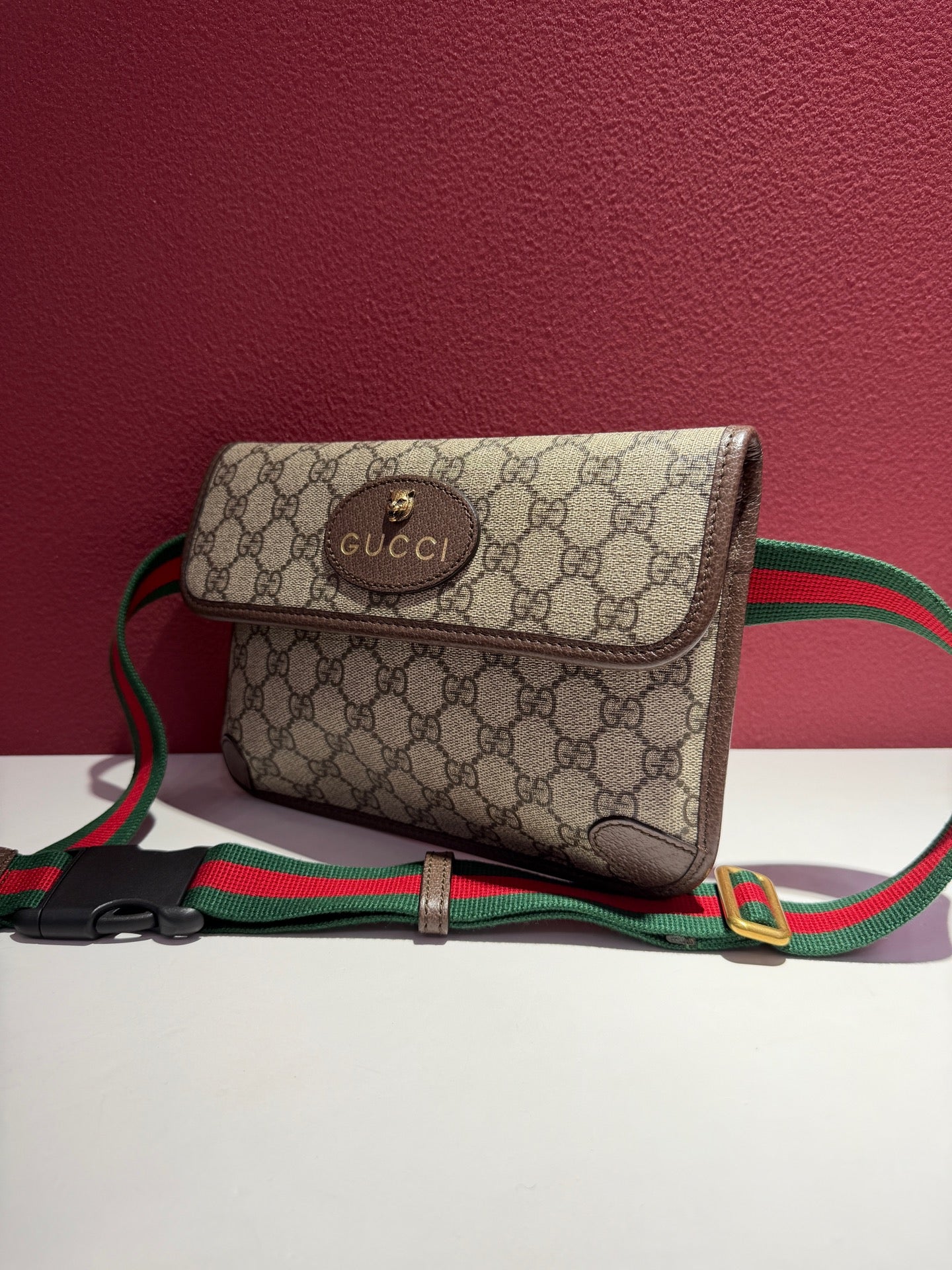 Gucci Canvas Beige Belt Bag & Fanny Pack 24*17*4 4939309C2VT8745