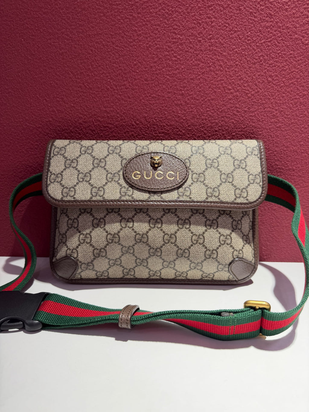 Gucci Canvas Beige Belt Bag & Fanny Pack 24*17*4 4939309C2VT8745