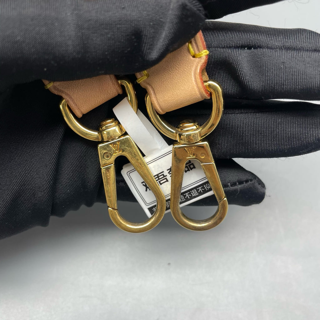 Louis Vuitton Crossbody
