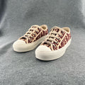Dior Red Skate shoes