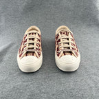 Dior Red Skate shoes