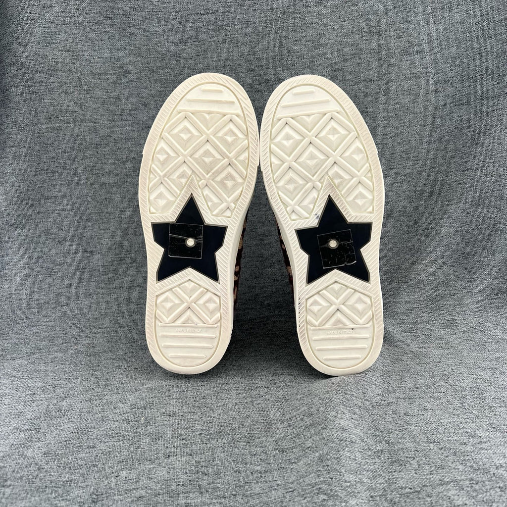 Dior Red Skate shoes