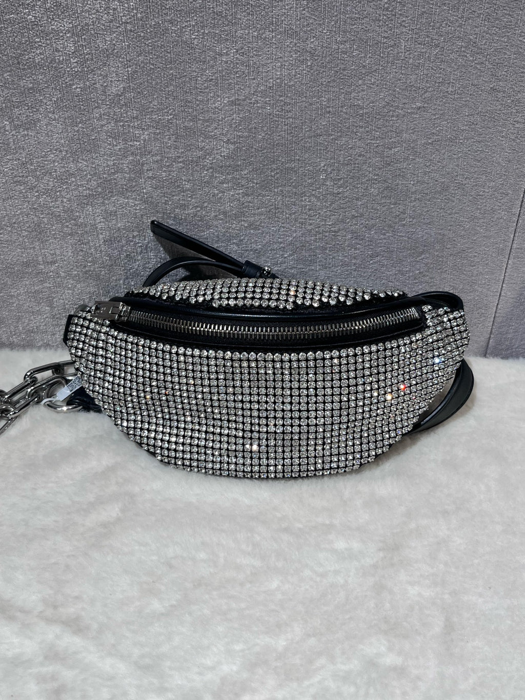 Alexander Wang Belt Bag & Fanny Pack