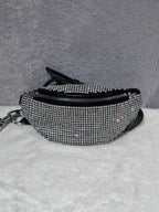 Alexander Wang Belt Bag & Fanny Pack