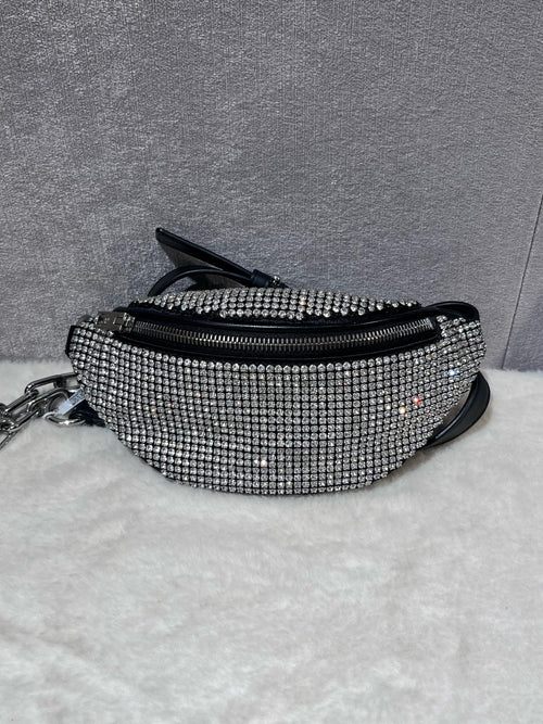 Alexander Wang Belt Bag & Fanny Pack