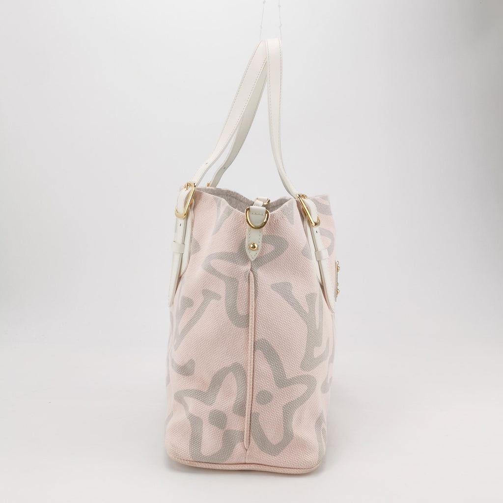 Louis Vuitton Canvas