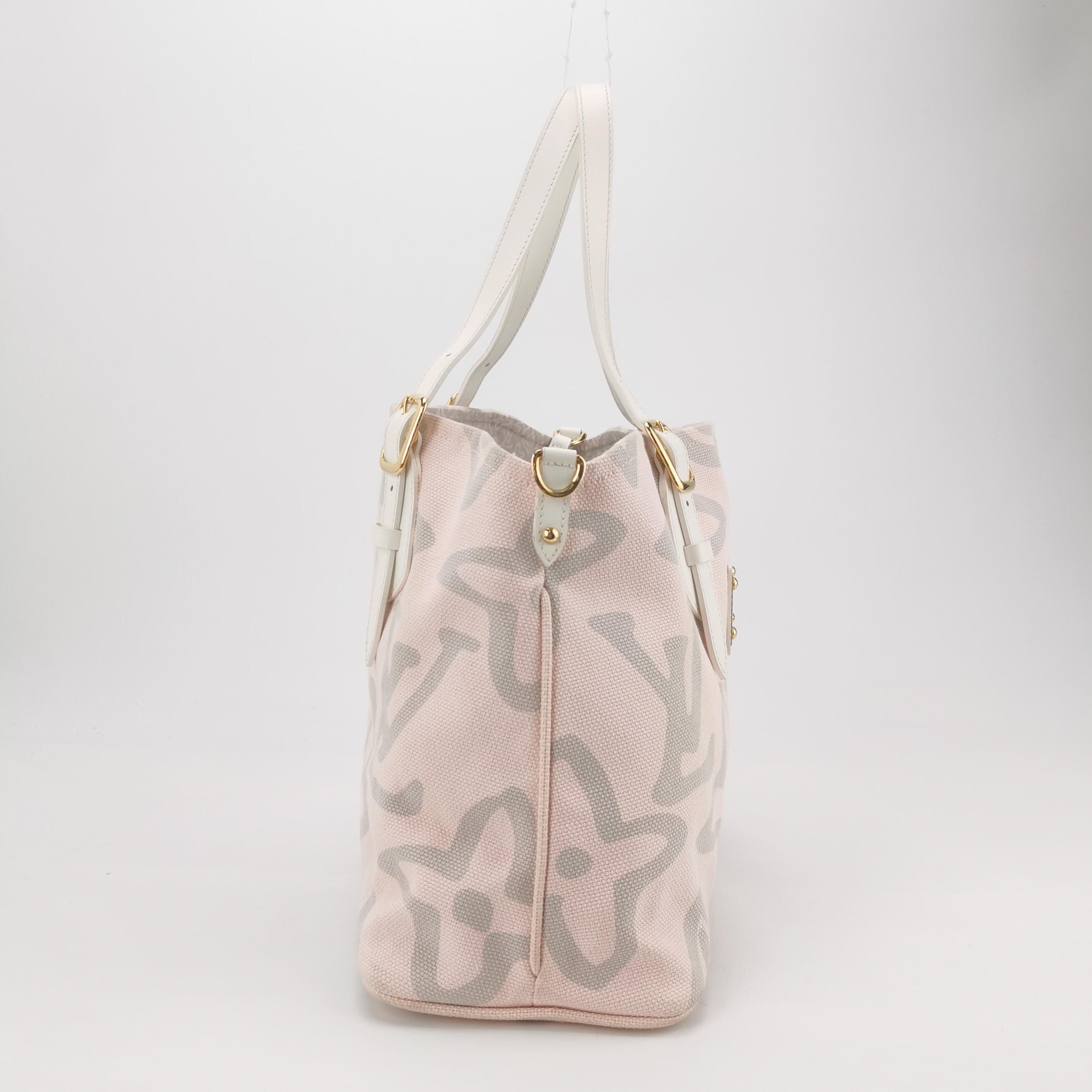 Louis Vuitton Canvas
